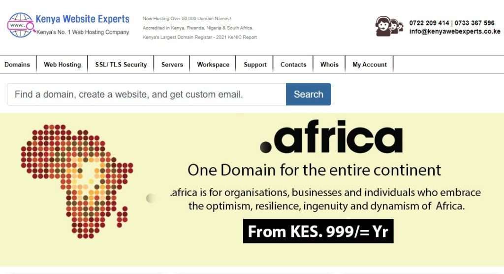 Kenya web experts